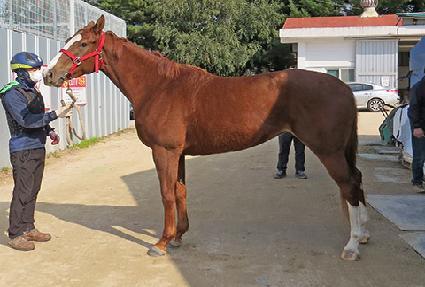 �ӽ����� ����