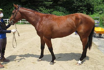 ��ȣ���� ����