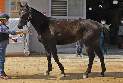 �ٹ�� ����