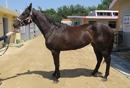 ��ġ�� ����