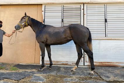 �㸮������ ����