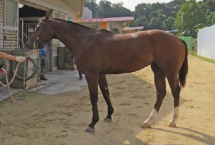 ��ũ��ŷ ����