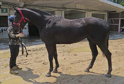 ť�ǵ����� ����