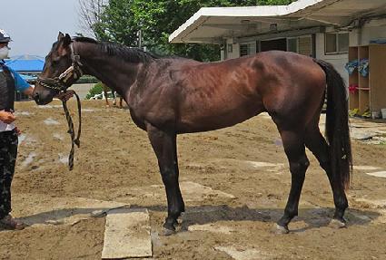 Ÿ��Ÿ��Ÿ�� ����