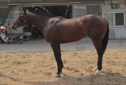 ���������� ����