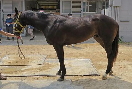 ��Ű�ÿ����� ����