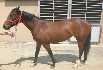 ��Ÿ����ũ ����