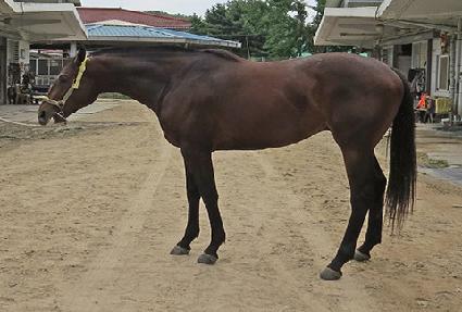 �������� ����