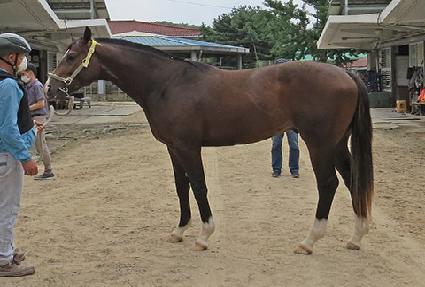 ����Ÿ�� ����