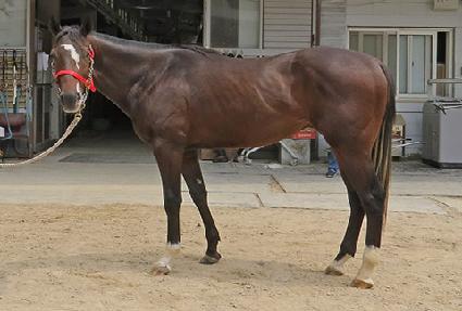 �˷������ ����