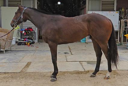 �ż����� ����