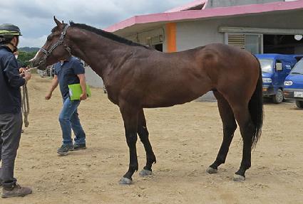 ���̾��� ����