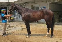 �������� (SPRING KKUM) ����