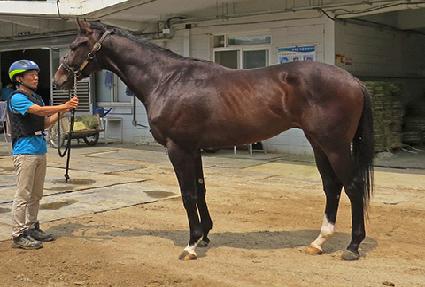 �������� ����