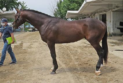 �ø��콺���� ����