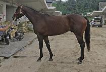 �������� (PRINCE PARK) ����