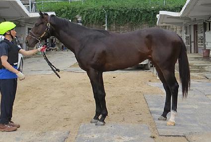 �������ְ� ����