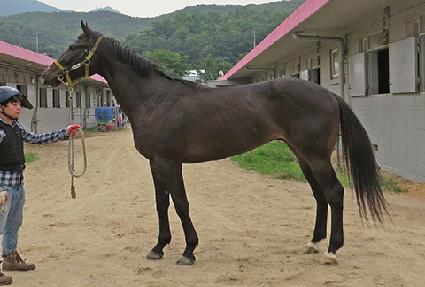 ��Ű�� ����