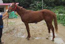 ��Ű�� (LUCKY HOON) ����