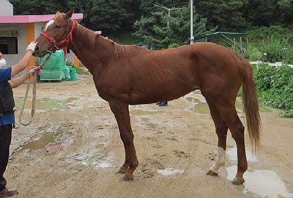 ��Ű�� ����