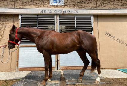 �������� ����