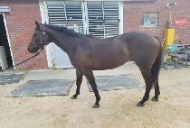 ���۰����� (SUPER GALLERY) ����