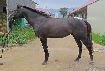 ����Ƽ�� (MIGHTY WHO) ����