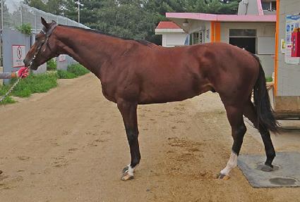 ����Ƽ�� ����