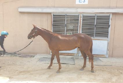 Ŭ���� ����