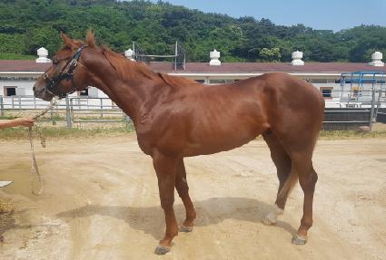 ���� ����