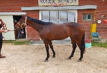 RAINBOW KEPT picture