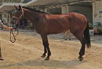 �η��Ŀ� (LAUREL POWER) ����