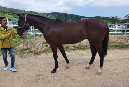 �����̴� ����