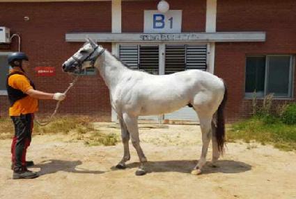 ��������� ����