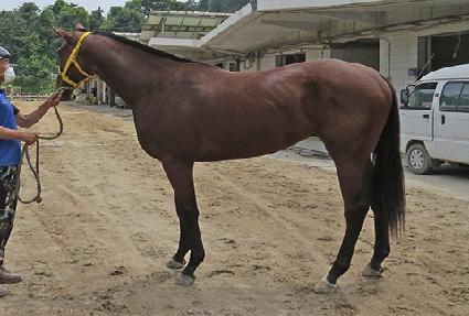 �μ��屺 ����