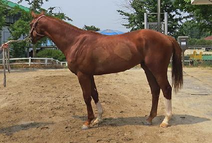 �μո۱� ����