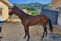 I'M YOUR QUEEN picture