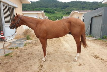 �Ҵ�ŷ���� ����