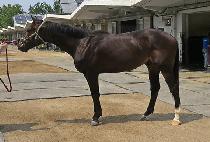 �ʵ������ (FIELD HERO) ����