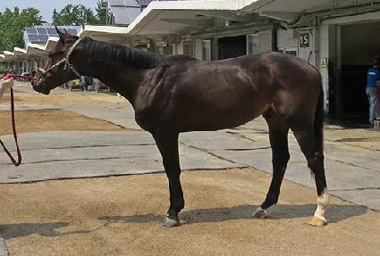 �ʵ������ ����