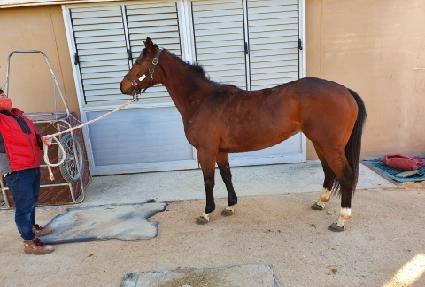 ���Ÿ ����