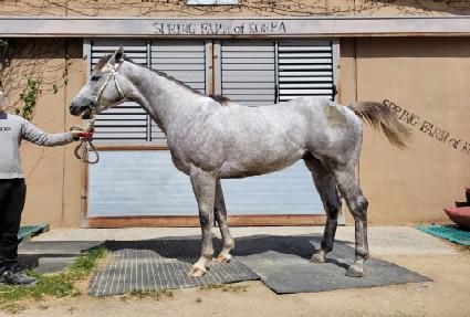 �÷����� ����