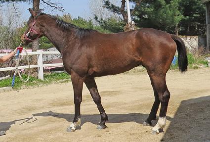 �ױ���Ÿ ����