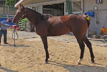 ���̳��� ����