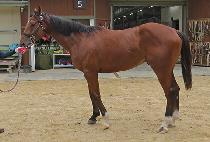 ��� (HAENGDEOK) ����