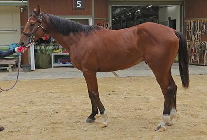 ��� ����