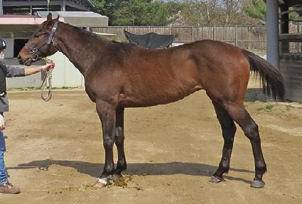 ������ ����