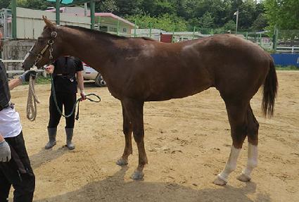 �Ϳ�Ϳ� ����