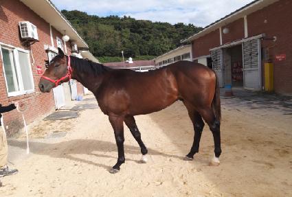 �Ѿ��� ����