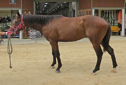 �����ݵ� ����